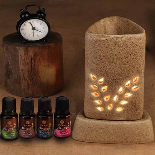 Electric Oil Warmer with Free 4 Pack Fragrance Oil (COB-250 BROWN)