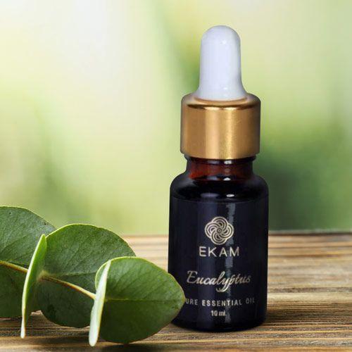 Eucalyptus Essential Oil, 10ml