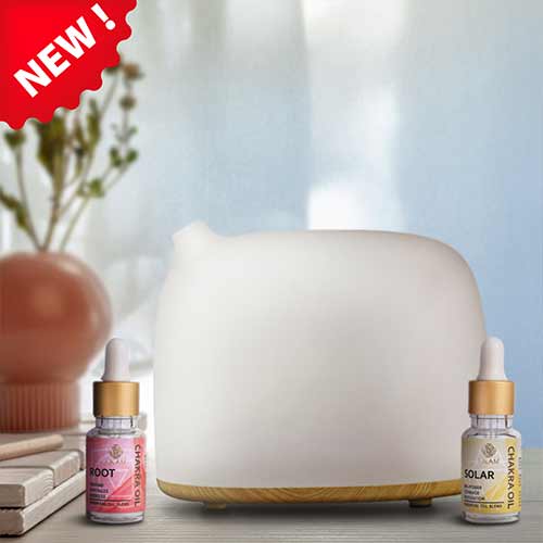 Chakra Series Aroma Diffuser Kit with Root & Solar Chakra Oils (GX-28K)