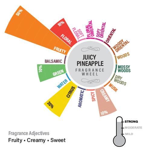 Juicy Pineapple Premium Fragrance Oil, Fruity Series