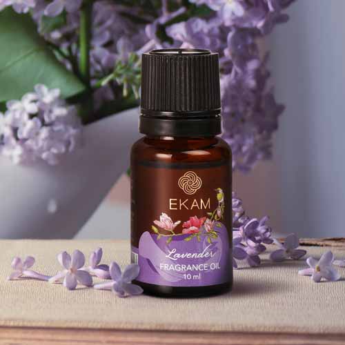 Lavender Fragrance Oil, 10ml