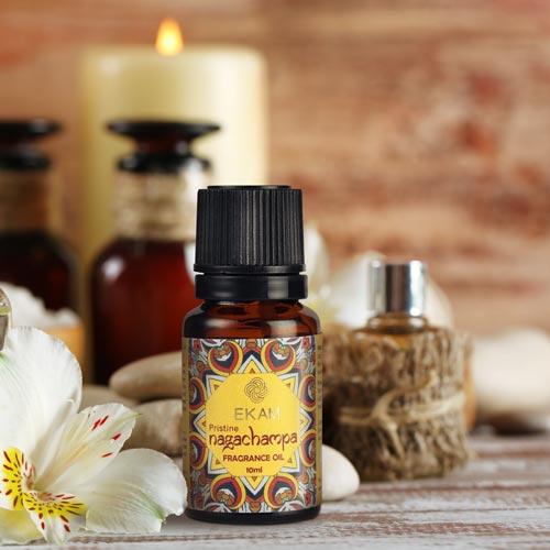 Pristine Nagachampa Fragrance Oil, 10ml