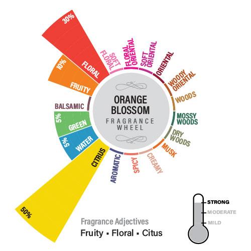 Orange Blossom Premium Fragrance Oil, Fruity Series