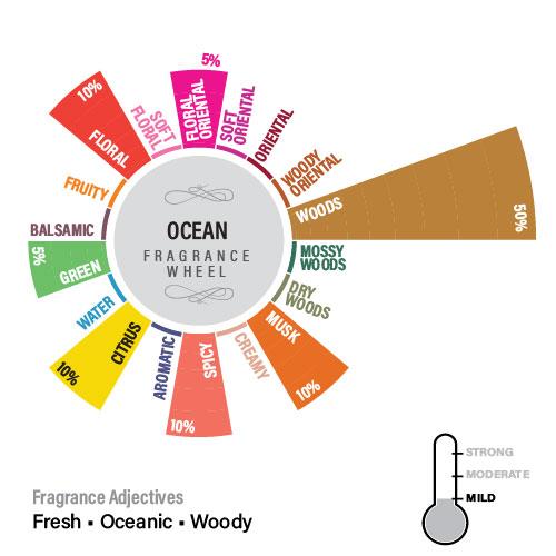 Ocean Premium Fragrance Oil, Manly Indulgence Series