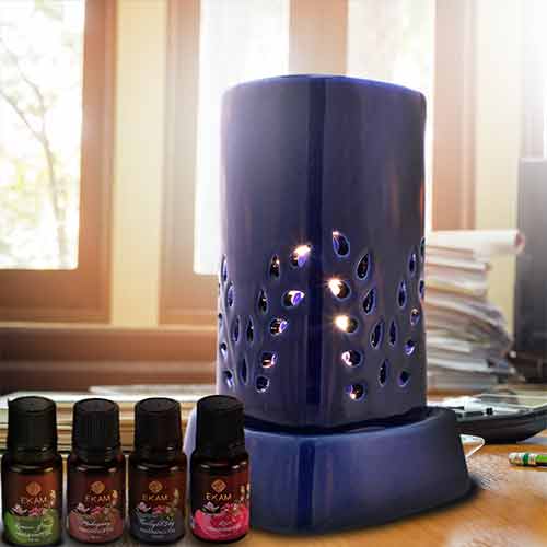 Electric Oil Warmer with Free 4 Pack Fragrance Oil (COB-250 BLUE)