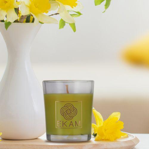 Lime Mandarine Shot Glass Scented Candle<br>(Pick Any 12 & Get 20% Off)